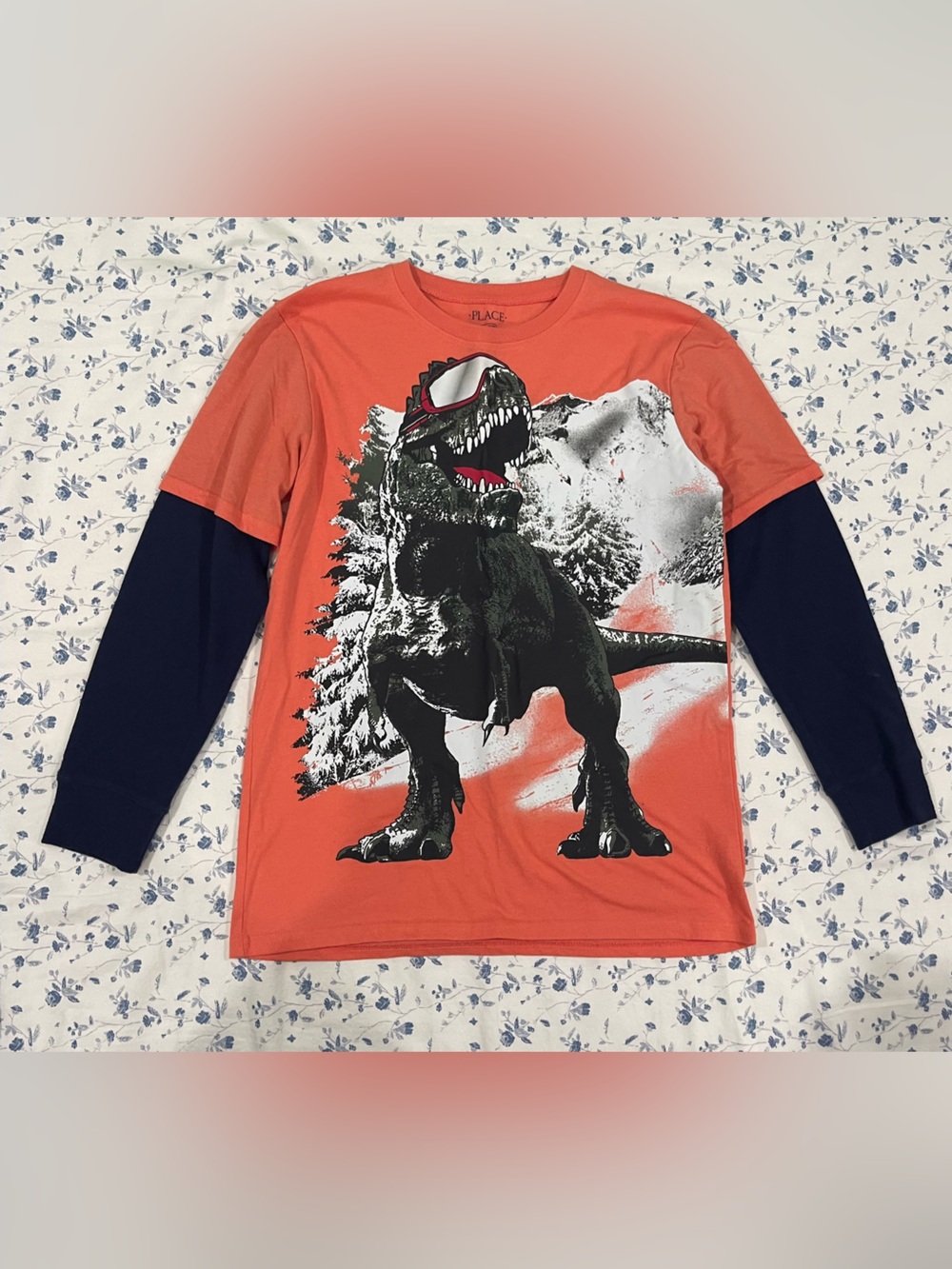Boys Long-Sleeve Dino Sketch Graphic Tee